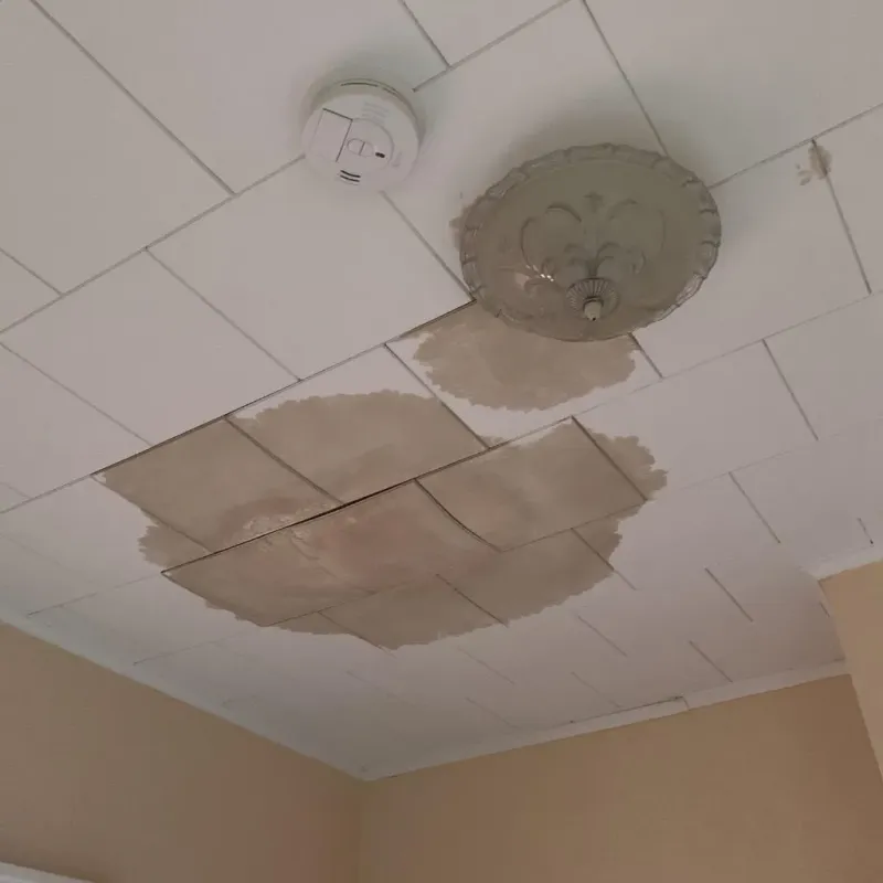 Ceiling Water Damage Repair in Fayetteville, AL