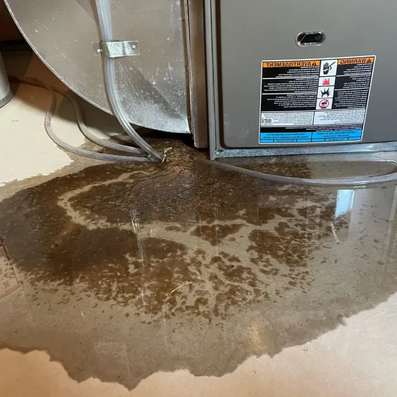 Pipe Burst and Leak Restoration in Fayetteville, AL