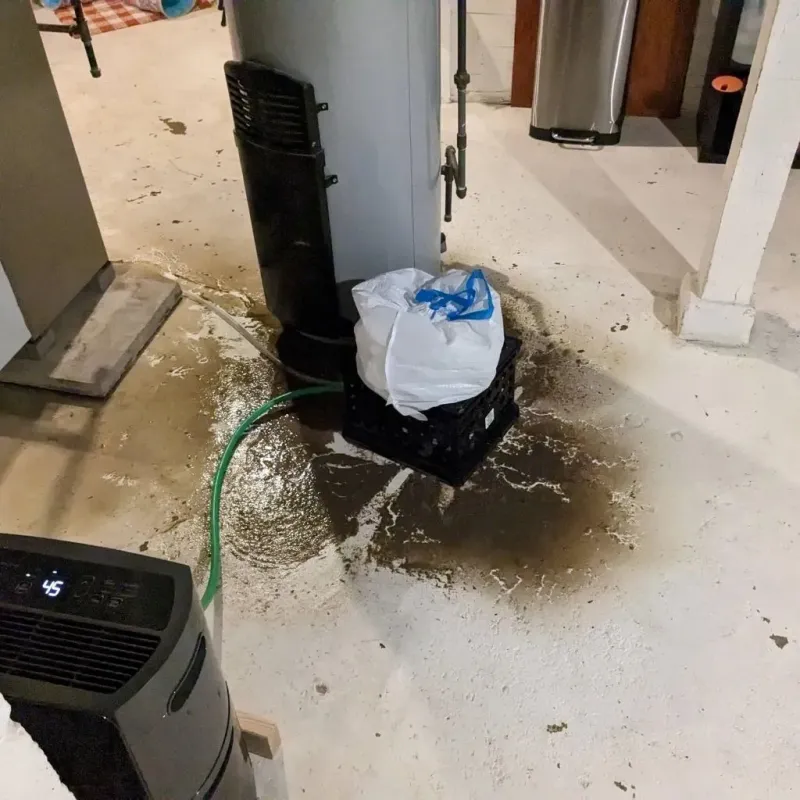 Sewage Backup Cleanup Service in Fayetteville, AL